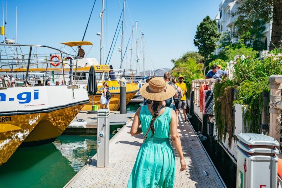 From Malaga: Day trip to Gibraltar and Dolphin Boat Tour - Price and value: what $73 buys you (and what it doesn’t)