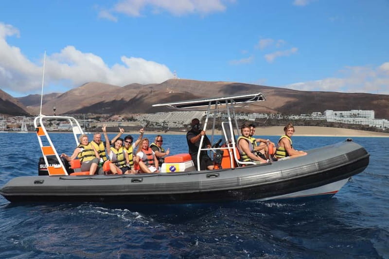 From Morro Jable: Dolphin and Whale Watching and Snorkelling - Dolphin and whale watching: your odds and what “success” looks like