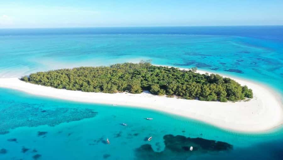 From Nungwi : Mnemba Boat Trip and Dolphin Snorkel Adventure - Key takeaways before you go
