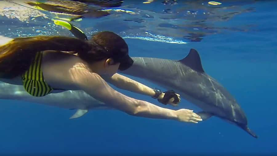 From Nungwi : Mnemba Boat Trip and Dolphin Snorkel Adventure - Dolphin time at speed: what to expect (and how to improve your odds)