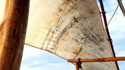 From Nungwi : Mnemba Boat Trip and Dolphin Snorkel Adventure - Pickup from Nungwi or Kendwa (and the Kulinarium base)