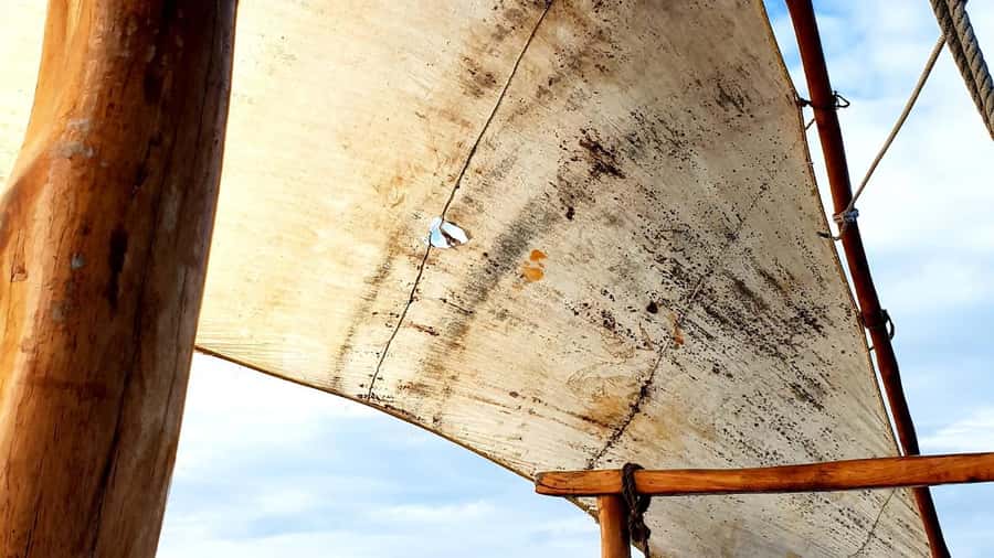 From Nungwi : Mnemba Boat Trip and Dolphin Snorkel Adventure - Pickup from Nungwi or Kendwa (and the Kulinarium base)