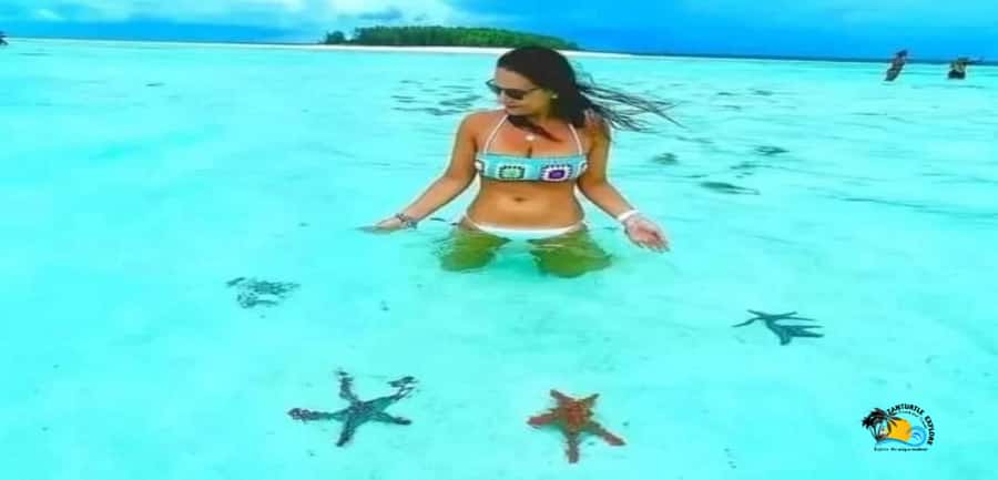 From Nungwi: Mnemba Island Dolphin Watching and Snorkeling - The Beach Stop: Mnemba vs Muyuni Depending on Tide
