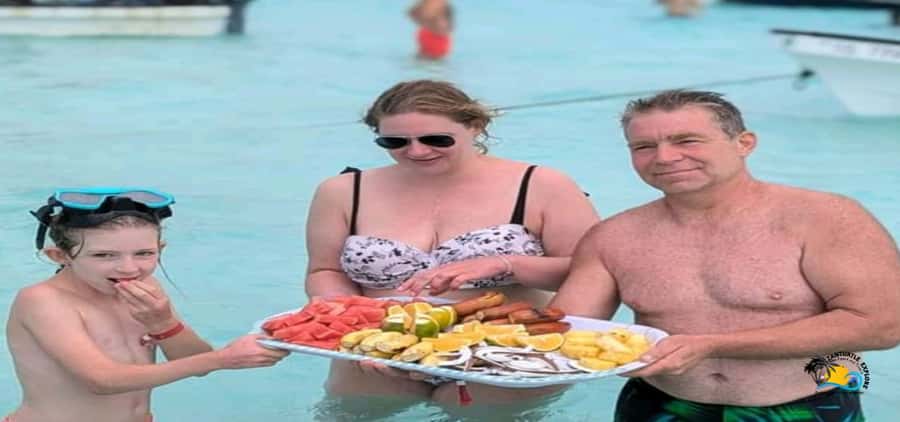 From Nungwi: Mnemba Island Dolphin Watching and Snorkeling - Price and Value: Is This Worth the $60?