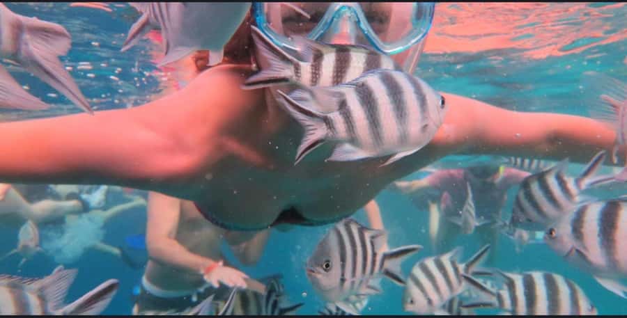 FROM NUNGWI; MNEMBA SNORKELING AND DOLPHIN TOUR - From Nungwi to Mnemba: why this route is so popular