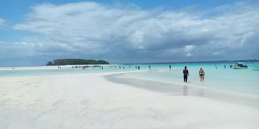 FROM NUNGWI; MNEMBA SNORKELING AND DOLPHIN TOUR - Mnemba snorkeling: coral, fish, and a spot that works for many levels