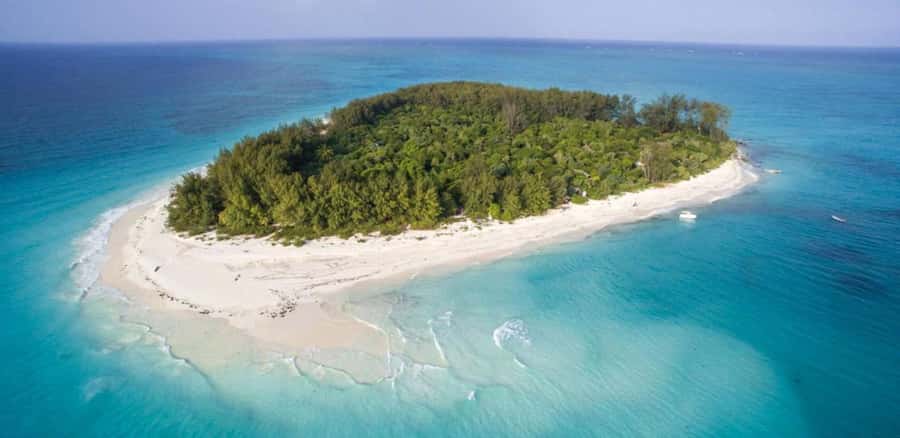 FROM NUNGWI; MNEMBA SNORKELING AND DOLPHIN TOUR - Dolphin sightings: exciting, but don’t treat it like a guaranteed checklist