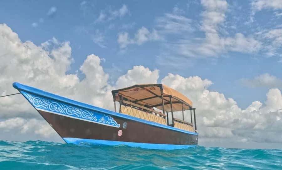 FROM NUNGWI; MNEMBA SNORKELING AND DOLPHIN TOUR - Price and value for $45: what you’re really paying for