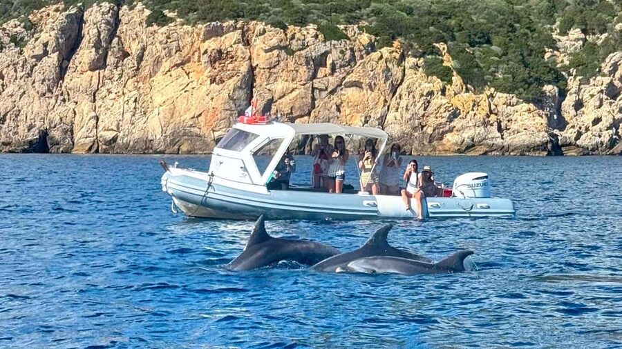 From Olbia: RIB Tour to Capo Figari with Dolphin Sighting - Getting from Olbia Marina to Figarolo Island