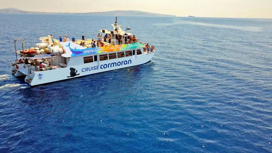 From Paguera: Dolphin Watching Cruise in a Glass-Bottom Boat - From Playa Tora Jetty to Santa Ponsa Sailing: Timing That Matters