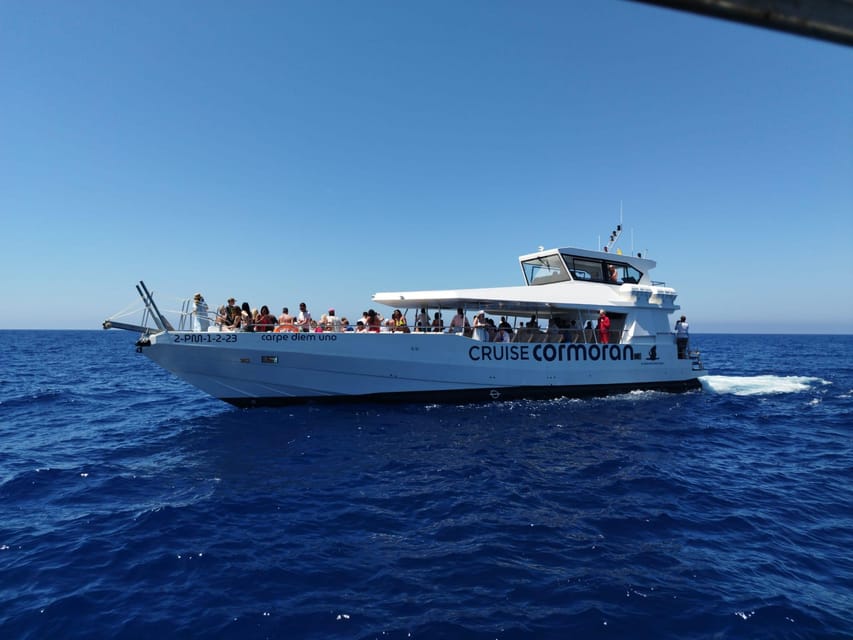 From Palma: 3-Hour Morning Dolphin Watching Boat Tour - Getting aboard: La Lonja jetty or Cruise Cormoran transfer