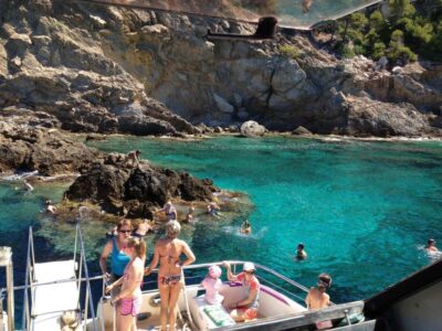 From Palma: 3-Hour Morning Dolphin Watching Boat Tour - Carpe Diem at 10:30: what a 3-hour dolphin cruise really delivers