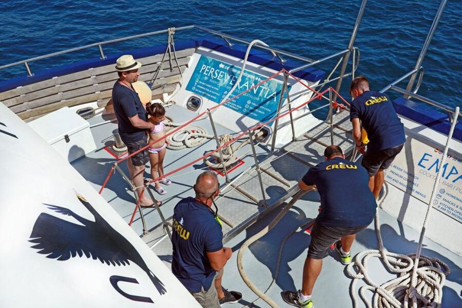 From Palma: 3-Hour Morning Dolphin Watching Boat Tour - On-board comfort: bar service, shaded seats, and small conveniences