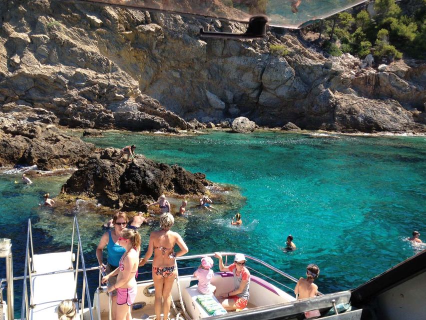 From Palma: 3-Hour Morning Dolphin Watching Boat Tour - Carpe Diem at 10:30: what a 3-hour dolphin cruise really delivers