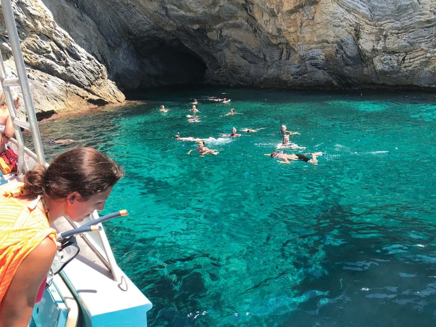 From Palma: Afternoon Dolphin-Watching Boat Tour - Speedboat Dolphin Watching: Why This Works in Palma Bay