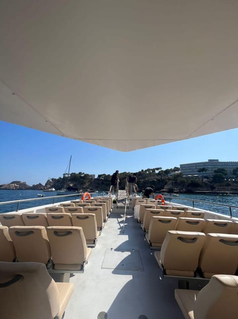 From Palma: Afternoon Dolphin-Watching Boat Tour - Practical Tips for a Smoother Dolphin Afternoon