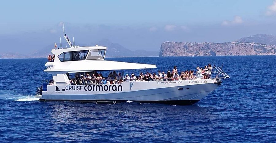From Palma: Afternoon Dolphin-Watching Boat Tour - From Palma at 13:45 to Open Sea: What the Route Feels Like