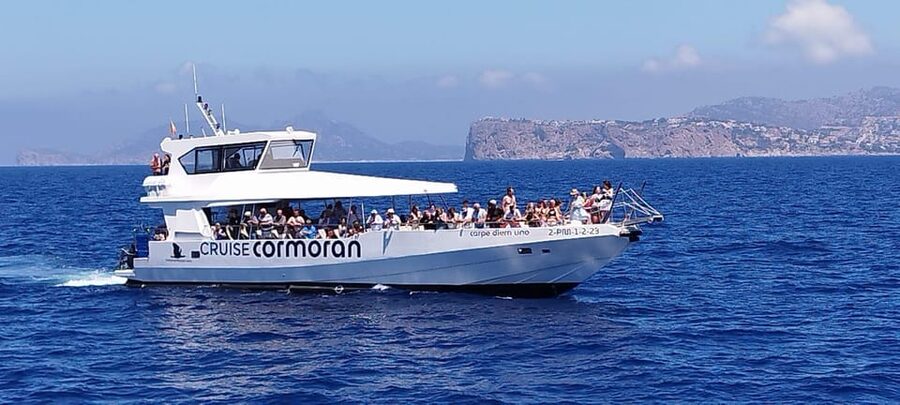 From Palma: Afternoon Dolphin-Watching Boat Tour - Snorkel Gear: Included, but Don’t Forget the Deposit