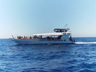 From Palma: Afternoon Dolphin-Watching Boat Tour - The Swim Stop in a Secluded Cove (Where the Tour Really Delivers)