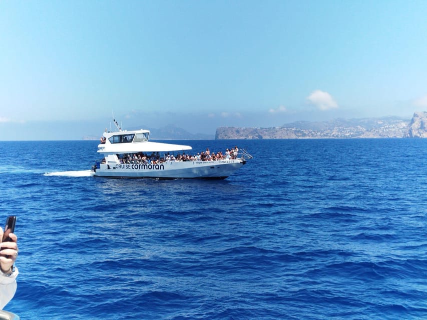 From Palma: Afternoon Dolphin-Watching Boat Tour - Onboard Comfort, Crew Energy, and What to Expect for Commentary