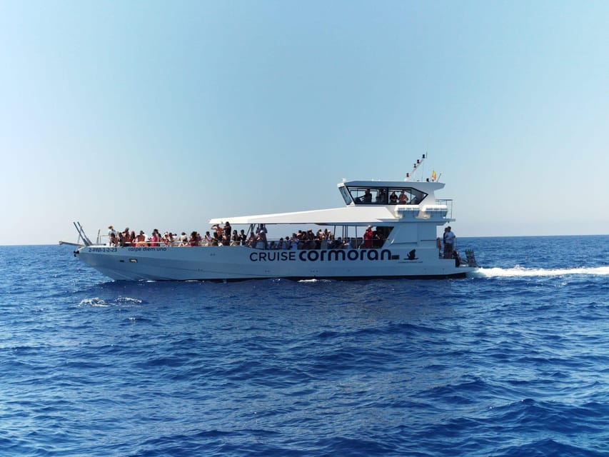 From Palma: Afternoon Dolphin-Watching Boat Tour - The Swim Stop in a Secluded Cove (Where the Tour Really Delivers)