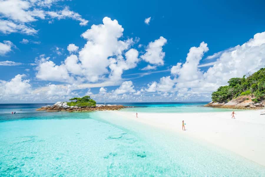 From Phuket: Racha & Maiton Island Dolphin Expedition - Price and Value at $109: Fair if You Match the Style