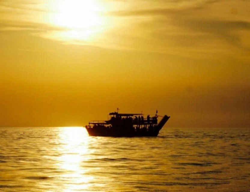 From Poreč: Evening Dolphin Cruise with Welcome Drink - A wooden-boat evening that blends wildlife and Istrian town breaks