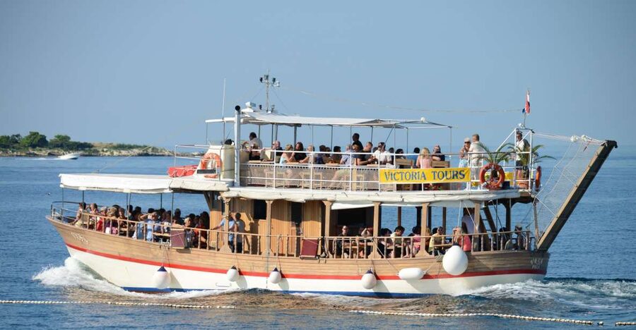 From Poreč: Evening Dolphin Cruise with Welcome Drink - Price and value: is $35 per person a fair deal?