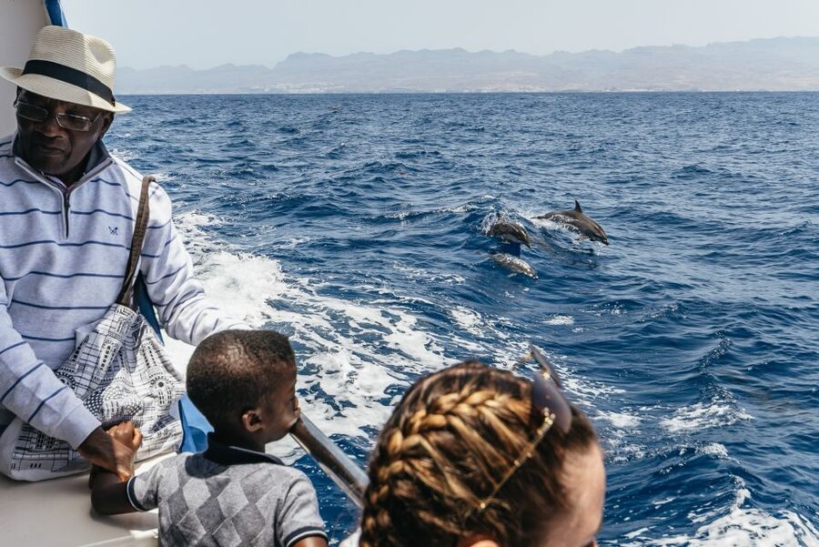 From Puerto Rico de Gran Canaria: Dolphin Watching Cruise - Should you book Spirit of the Sea from Puerto Rico de Gran Canaria?
