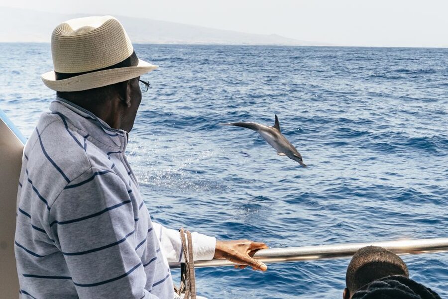 From Puerto Rico de Gran Canaria: Dolphin Watching Cruise - Getting there: pickup in the south and where you’ll board