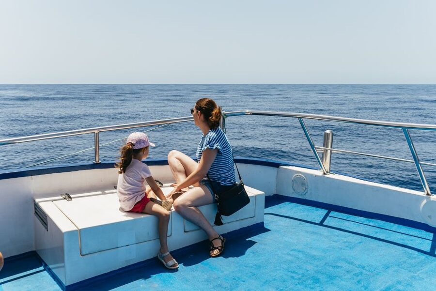 From Puerto Rico de Gran Canaria: Dolphin Watching Cruise - Price and value: why $47 can feel like a deal