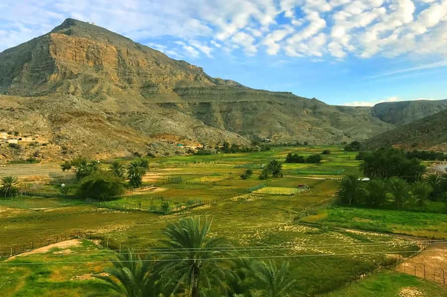 From Ras Al Khaima : Dolphin Watching and Jabal Harim Safari - Jabal Harim 4x4 Safari: From Sea Level to High Mountain Views