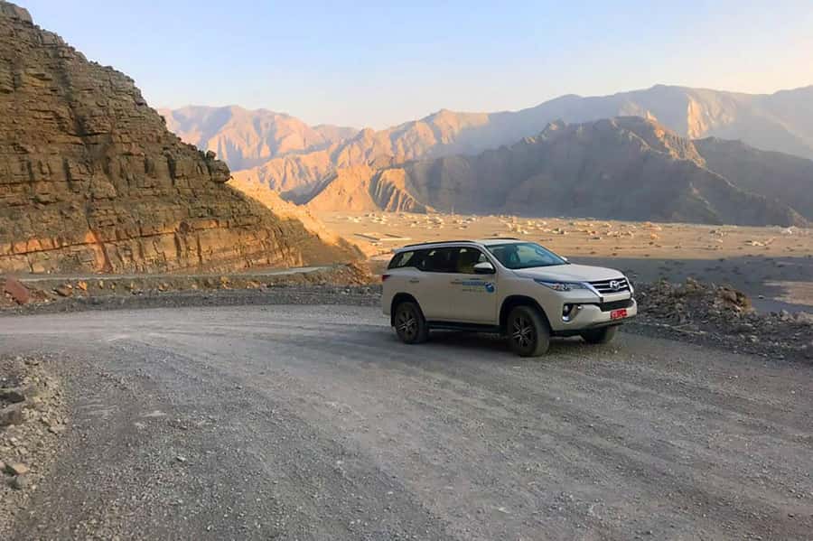 From Ras Al Khaima : Dolphin Watching and Jabal Harim Safari - What the Whole Schedule Adds Up To