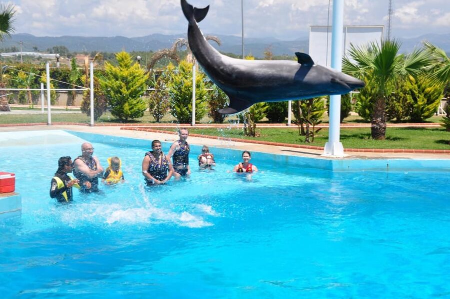 From Side Dolphin and Seal Show Ticket with Hotel Transfers - A Quick Look at the Details: Rating, Language Support, and Transfers