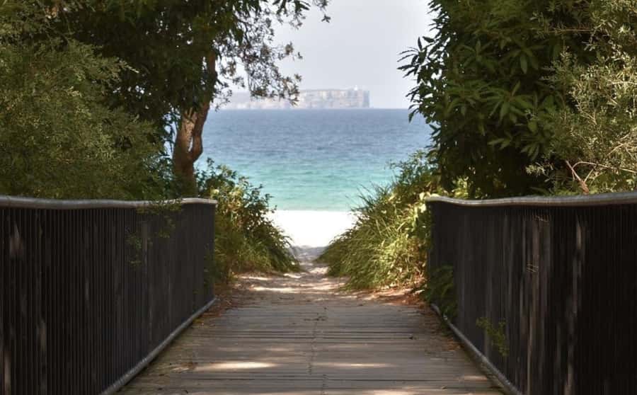 From Sydney: Jervis Bay Day Tour and Dolphin Watching Cruise - Booderee National Park’s Cave Beach: Where Kangaroos Can Show Up