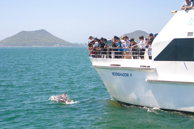 From Sydney: Port Stephens Dolphin, Koalas, Lunch & Sandboarding - Key Highlights You’ll Actually Feel