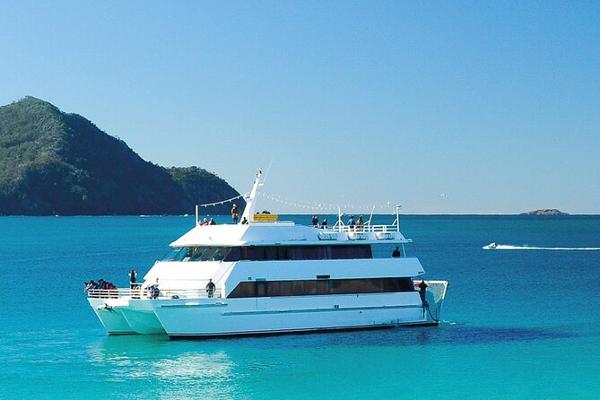 From Sydney: Port Stephens Dolphin, Koalas, Lunch & Sandboarding - Moonshadow Dolphin Cruise from Nelson Bay: Great Views, Variable Dolphins