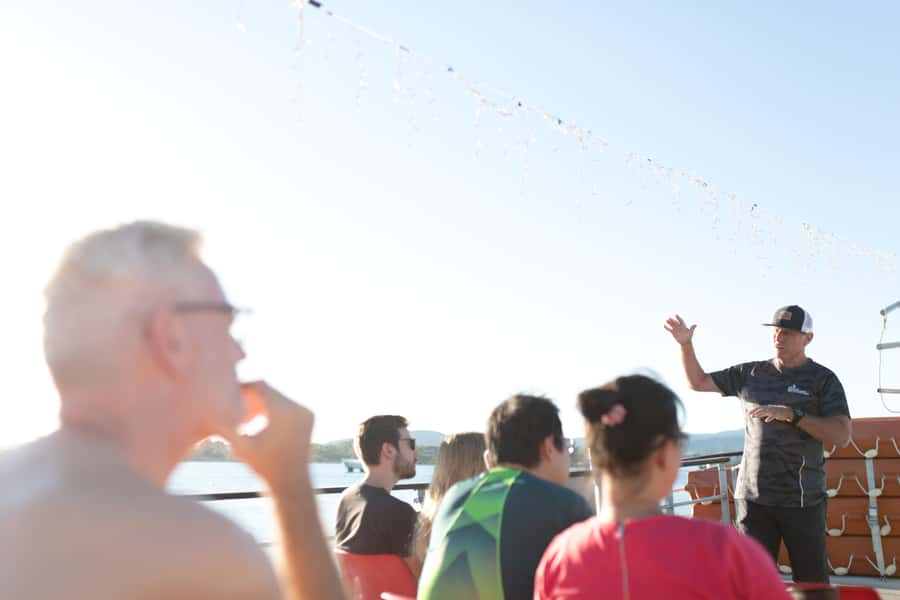 From Tauranga: Dolphin and Wildlife Cruise - Should you book the Dolphin and Wildlife Cruise from Tauranga?