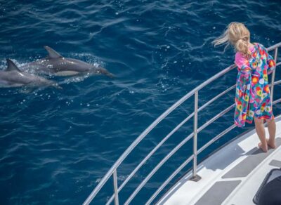 From Tauranga: Half-Day Swimming with Dolphins Tour - Meeting Up and Getting Comfortable on the Dolphin-Viewing Vessel
