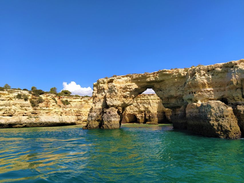 From Vilamoura: 2.5-Hour Benagil Cave and Dolphins Boat Tour - Price and value: is $53 fair for this kind of access?