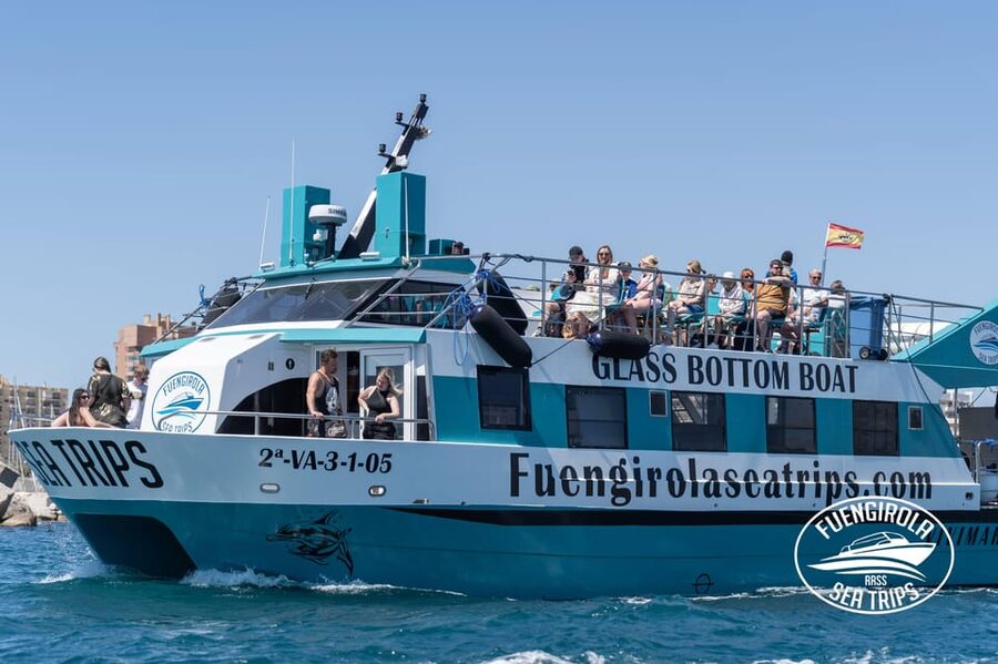 Fuengirola: Catamaran Tour to Spot Dolphins - A two-hour dolphin search from Fuengirola’s harbour