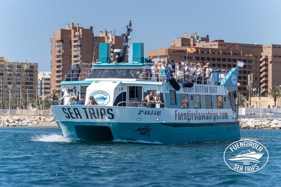 Fuengirola: Catamaran Tour to Spot Dolphins - Catamaran comfort: roomy deck space, bathrooms, and real viewing options