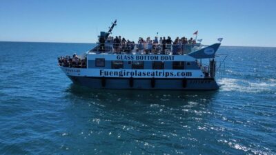 Fuengirola: Catamaran Tour to Spot Dolphins - Meeting point: Gate 3 at the pier (and yes, the door matters)