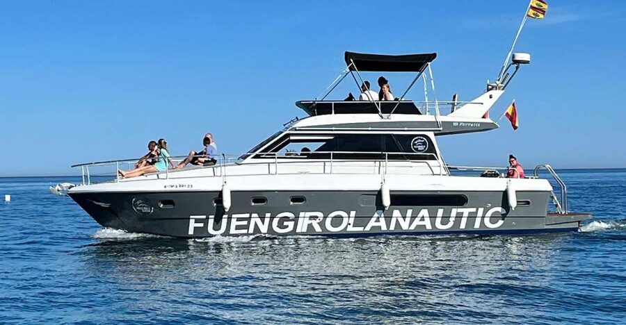 Fuengirola: Dolphin Spotting Tour - The Dolphin-Spotting Search: What You’re Paying For