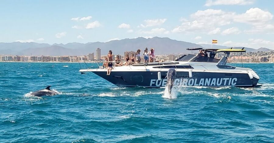 Fuengirola: Dolphin Watching by Yacht with Snacks and Drinks - Swimming Off the Yacht: When It’s Fun, When It’s Risky