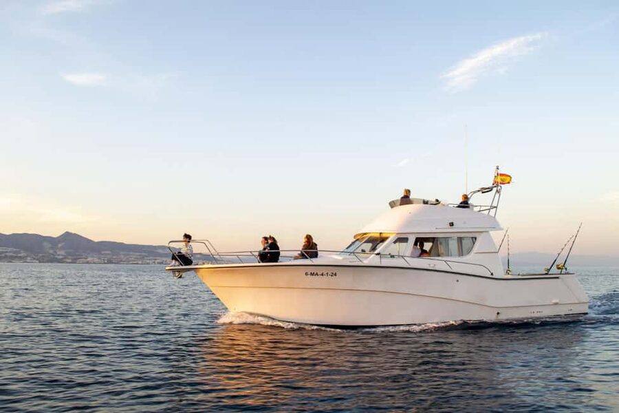 Fuengirola: Dolphin Watching Excursion with Refreshments - Key things I’d highlight before you book