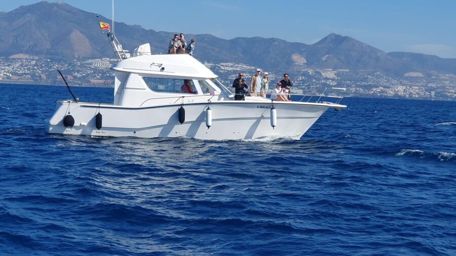Fuengirola: Dolphin Watching Excursion with Refreshments - Crew and guidance: Antonio/Tony energy is a real part of the value