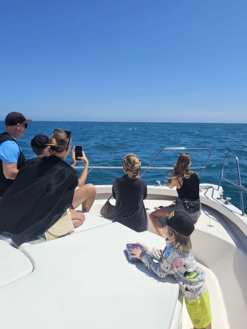 Fuengirola: Dolphin Watching Excursion with Refreshments - Who this is perfect for (and who should pick something else)