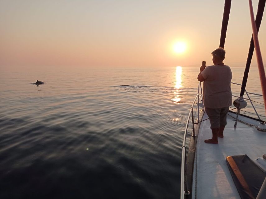 Fuengirola: Dolphin-Watching Sailing Tour with Drinks - Key things I’d zero in on