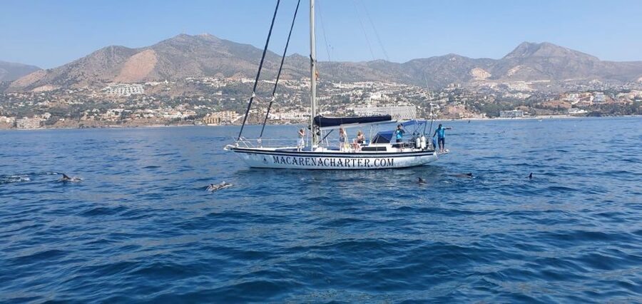 Fuengirola: Dolphin-Watching Sailing Tour with Drinks - Dolphin-watching that’s about timing and respect, not chasing